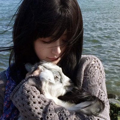 好莱坞狗日子